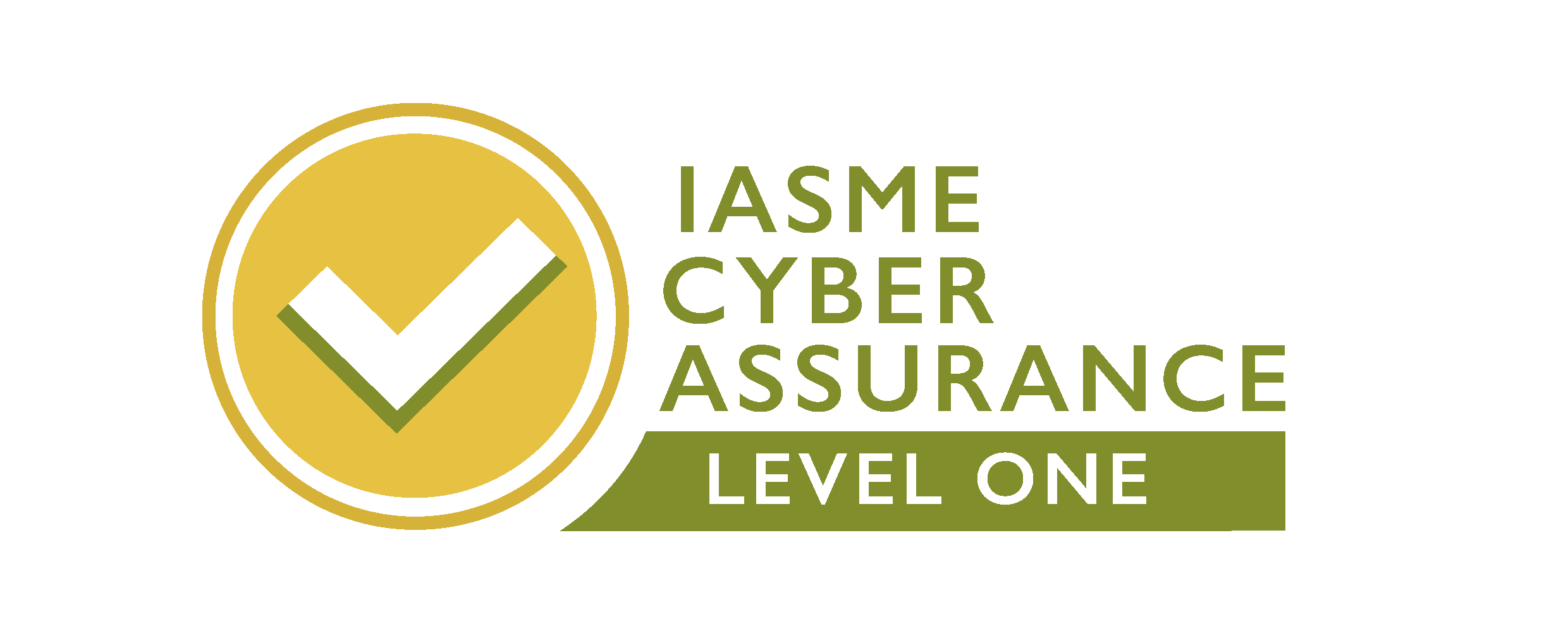 Cyber Assurace Level 1